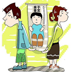 四川省个人DNA亲子鉴定要多少钱的费用，四川省隐私亲子鉴定基本流程