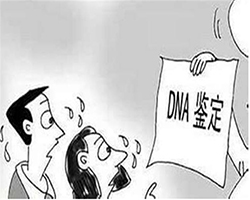 四川省哪里有亲子鉴定机构(详细地址)